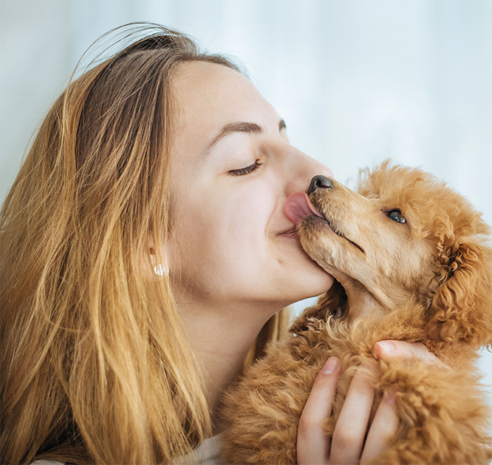 Pet Friendly